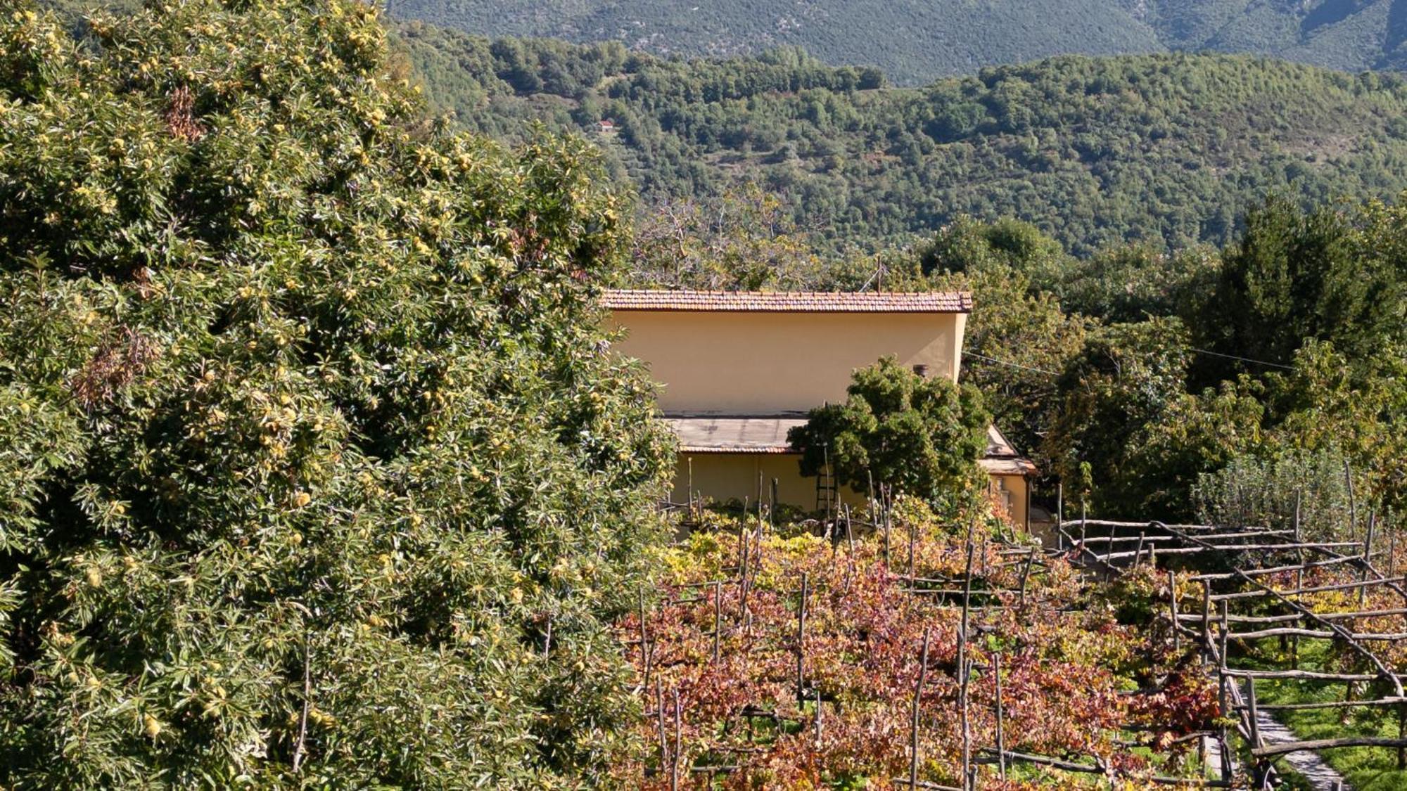 特拉蒙蒂Casa Giordano别墅 外观 照片